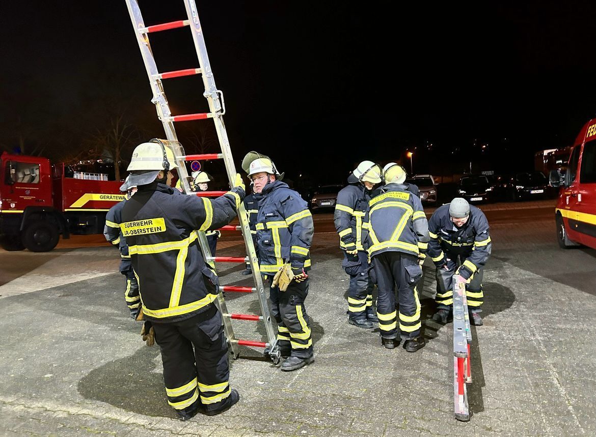 Anstellen der Multifunktionsleiter