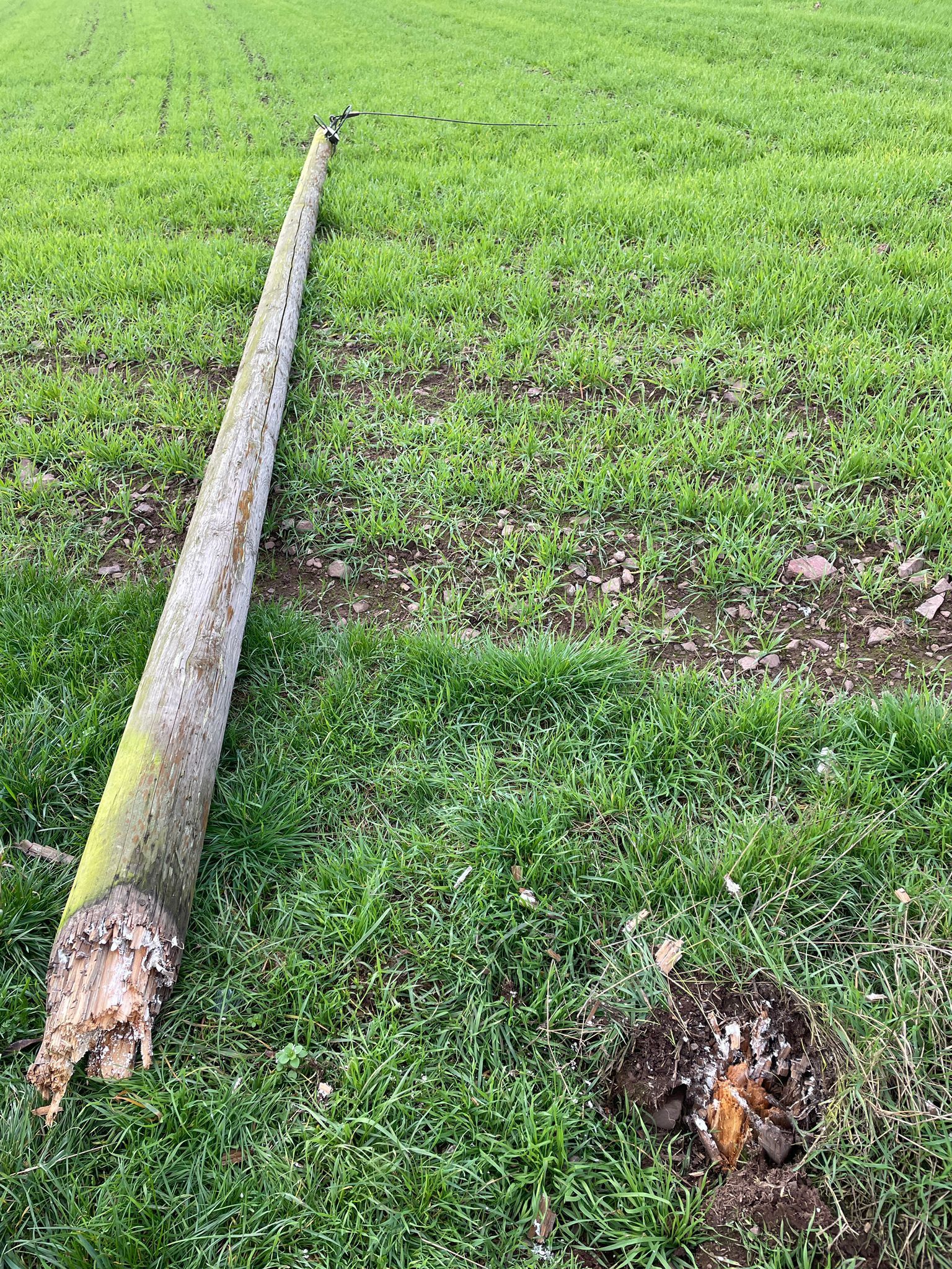 Umgestürzter Mast auf Wiese