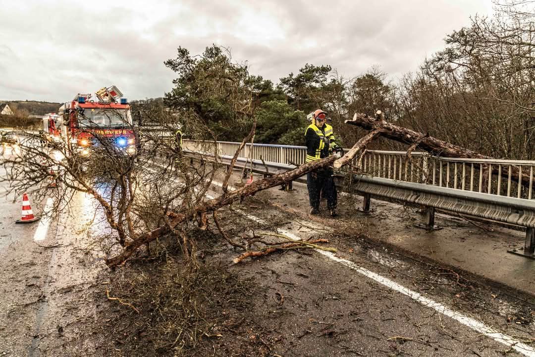Umgestürzter Baum auf Fahrbahn 