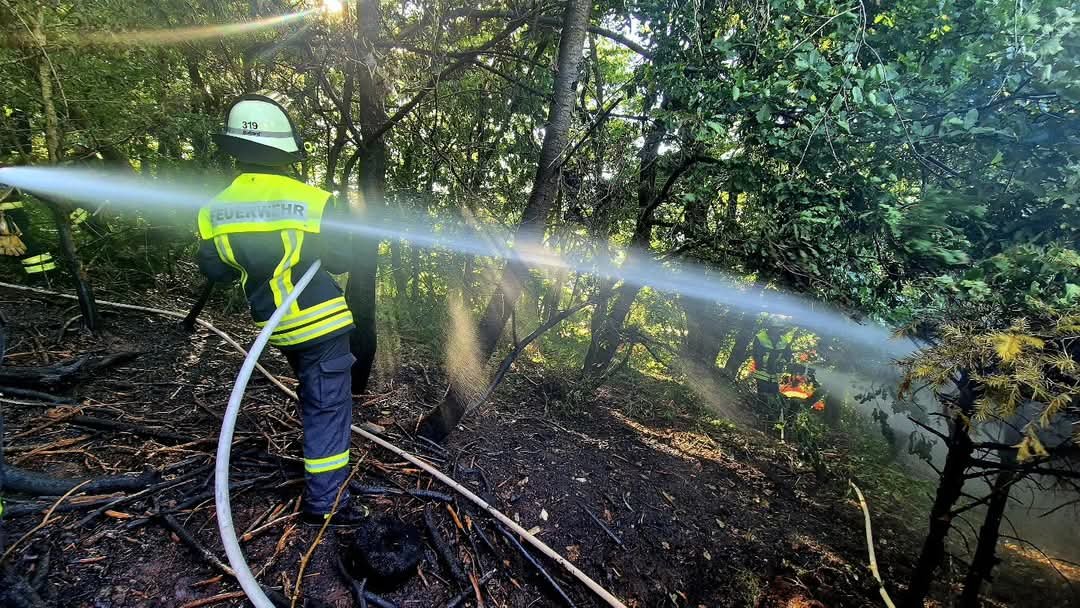 Feuerwehrangehörige im Wald beim Löschen
