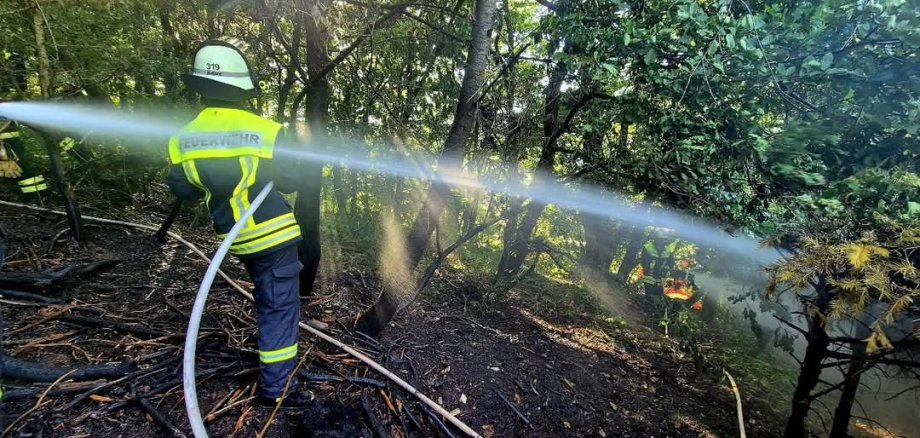 Feuerwehrangehörige im Wald beim Löschen