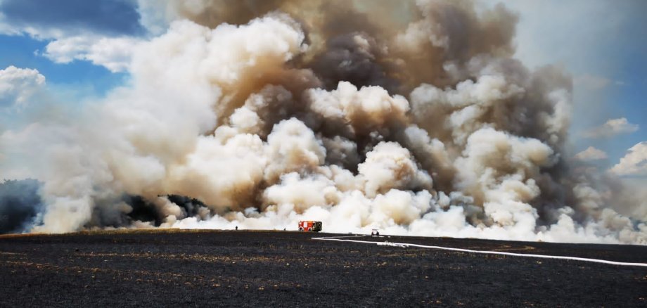 Flächenbrand